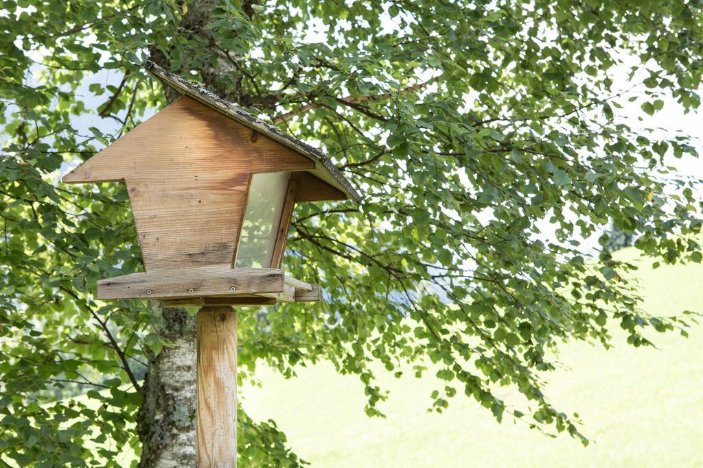 Ferienhaus Sara Bad Kleinkirchheim Bagian luar foto
